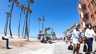 Cash 2.0 Great Dane meeting new people on the Venice Beach Boardwalk 37