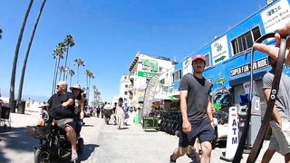 Cash 2.0 Great Dane meeting new people on the Venice Beach Boardwalk 37