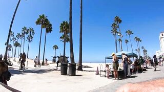 Cash 2.0 Great Dane meeting new people on the Venice Beach Boardwalk 37