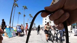 Cash 2.0 Great Dane meeting new people on the Venice Beach Boardwalk 37