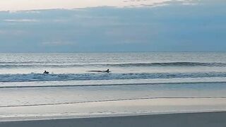 Welcome to Spring! NE Florida Beach Update 725am 03.20 2022