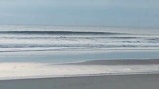 Welcome to Spring! NE Florida Beach Update 725am 03.20 2022