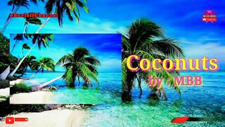 Coconuts - MBB | No Copyright Background Travel for Vlog | Bae Jeff Channel