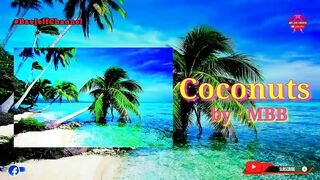 Coconuts - MBB | No Copyright Background Travel for Vlog | Bae Jeff Channel