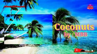 Coconuts - MBB | No Copyright Background Travel for Vlog | Bae Jeff Channel