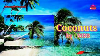 Coconuts - MBB | No Copyright Background Travel for Vlog | Bae Jeff Channel