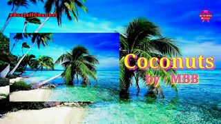 Coconuts - MBB | No Copyright Background Travel for Vlog | Bae Jeff Channel