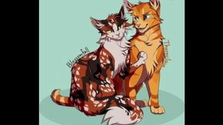 If warrior cats were models ????????????