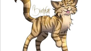 If warrior cats were models ????????????