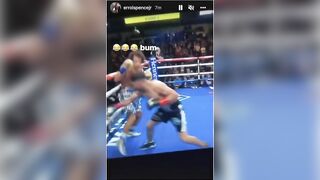 CELEBRITIES REACT TO BLAIR COBBS KNOCKOUT LOSS TO ALEXIS ROCHA: SPENCE, PORTER, CRAWFORD, UGAS, MORE