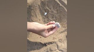 excavating shells at beach #shortsvideo #trending #viral