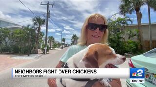 2 arrested after brawl erupts on Fort Myers Beach over roaming chickens