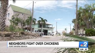 2 arrested after brawl erupts on Fort Myers Beach over roaming chickens