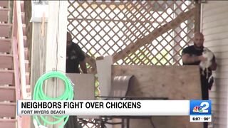 2 arrested after brawl erupts on Fort Myers Beach over roaming chickens