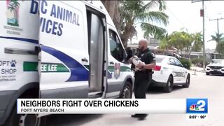 2 arrested after brawl erupts on Fort Myers Beach over roaming chickens