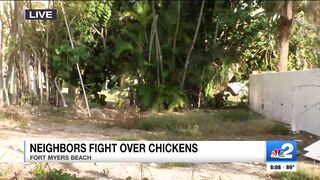 2 arrested after brawl erupts on Fort Myers Beach over roaming chickens