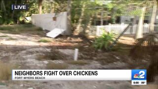 2 arrested after brawl erupts on Fort Myers Beach over roaming chickens