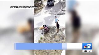 2 arrested after brawl erupts on Fort Myers Beach over roaming chickens