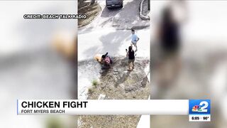 2 arrested after brawl erupts on Fort Myers Beach over roaming chickens