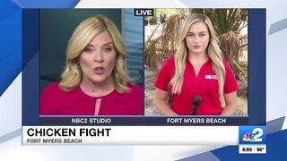 2 arrested after brawl erupts on Fort Myers Beach over roaming chickens