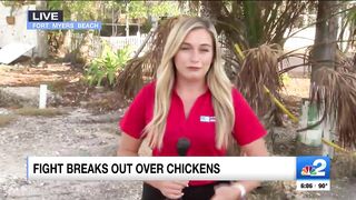 2 arrested after brawl erupts on Fort Myers Beach over roaming chickens