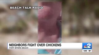 2 arrested after brawl erupts on Fort Myers Beach over roaming chickens