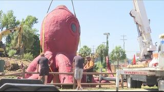 Giant Surfside Beach octopus moved