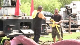 Giant Surfside Beach octopus moved