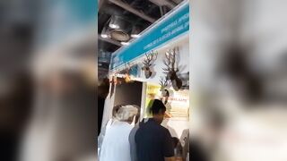 leather home decor items at india expo #greaternoida #shorts #instagram #shortvideo