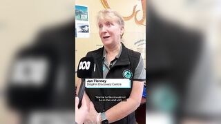 If you find a turtle washed up on the beach, it might need rehab ???????? | ABC Australia