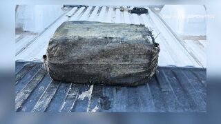 Over 75 pounds of cocaine wash up on Texas beach