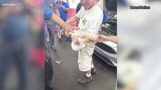 Snake found in car engine in Myrtle Beach