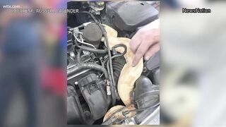 Snake found in car engine in Myrtle Beach