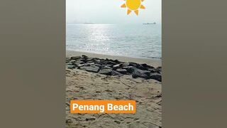 Beach in Malaysia☀????‍♂ #shorts #beach #summer #swimming #sun #sea #penang #malaysia