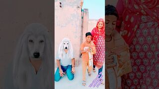 Funny Dog Prank 5???????????? #shorts #funny #comedy