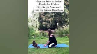 #kindsposition als #ausgleich #doga #yoga #yogamithund