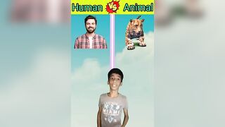 Human vs Animal#shots #viralvideo ##compilation#youtube seo