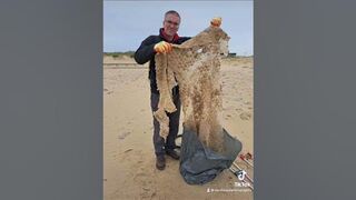 Doing our bit for the oceans - beach cleaning!