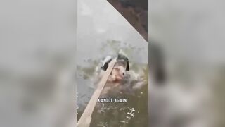 Strange stream #viral #funnypictures #explore #funny #funnyvideos #prank #funnyviral #laugh