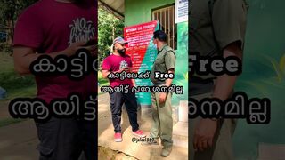 കാട്ടിലേക്ക് Free ആയിട്ട് പോവാന്‍ പറ്റില്ല - Full Video On My Instagram @jaleel369 #shorts #wildlife