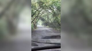 watch till end ???? || Monsoon magic #nature #travel #ganesh #hillstation