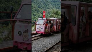 烏來台車 - Wulai Log Cart #taiwan #travel #taiwantourism #train #reels #shortvideo #shortsvideo #shorts