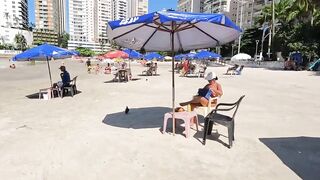 ???????? The Secret of SAO PAULO The Magic of Guaruja Enseada Beach