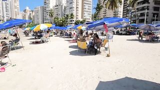 ???????? The Secret of SAO PAULO The Magic of Guaruja Enseada Beach