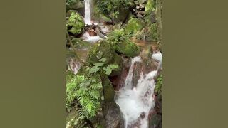 Juansi Waterfall Trail Hiking #hiking #nature #outdoors #trail #tree #waterfall #green #travel