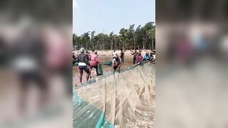 Digha Beach Fishing Time ???????? #digha #beach #fish #viral #shorts