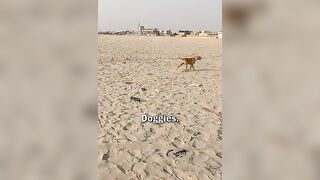 100 Rupee Snack at the Beach in Karachi, Pakistan ????????