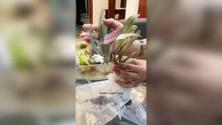 8 most Beautiful Indoor plants from Instagram????#unboxing