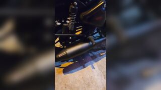 Bassy Silencer Dolphin Exhaust | Dug dug exhaust