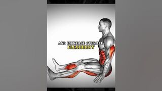 Stretching - Spine Stretch Forward - Home Exercises #shorts #homeworkout #workout